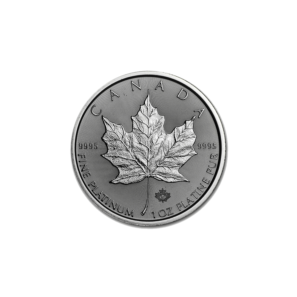 Cours et Meilleur Prix Maple Leaf 10 Onces en argent
