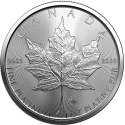 Achetez la Maple Leaf en platine 1 oz 2023 au Comptoir de l’Or